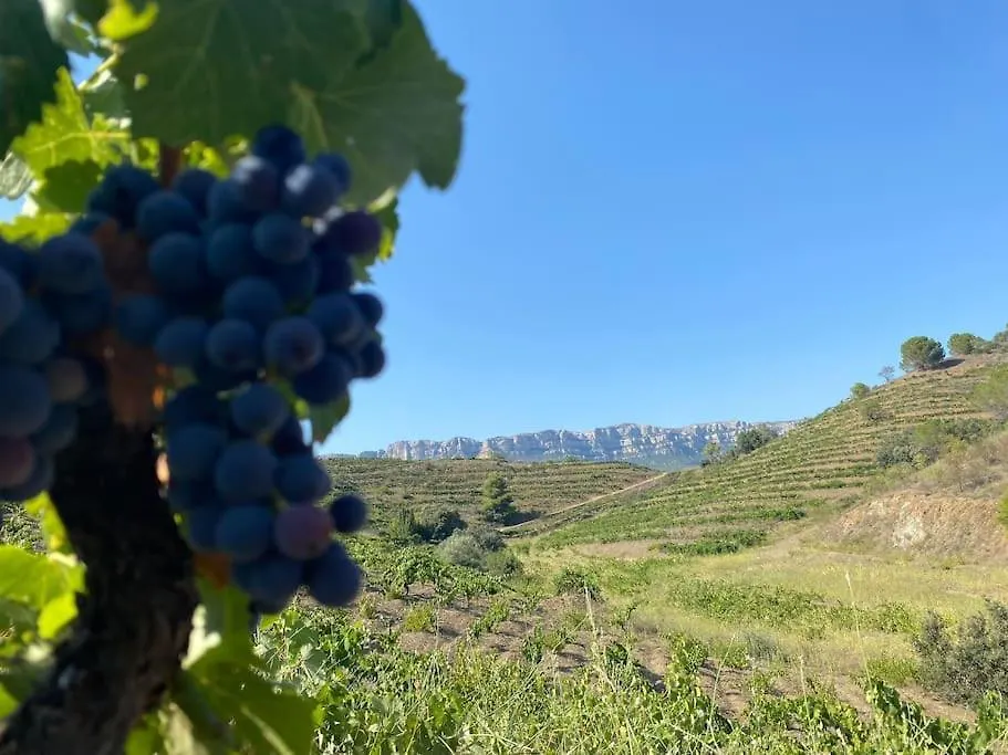 Vinyes Del Priorat Apartment Cornudella de Montsant Spain
